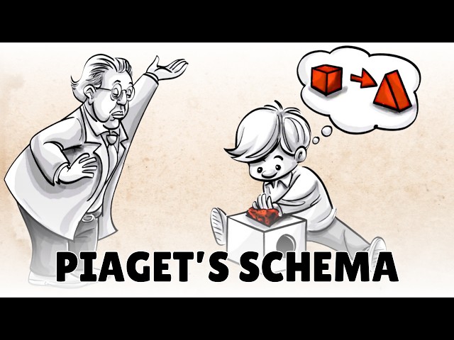 Piaget’s Schema: Accommodation and Assimilation of New Information