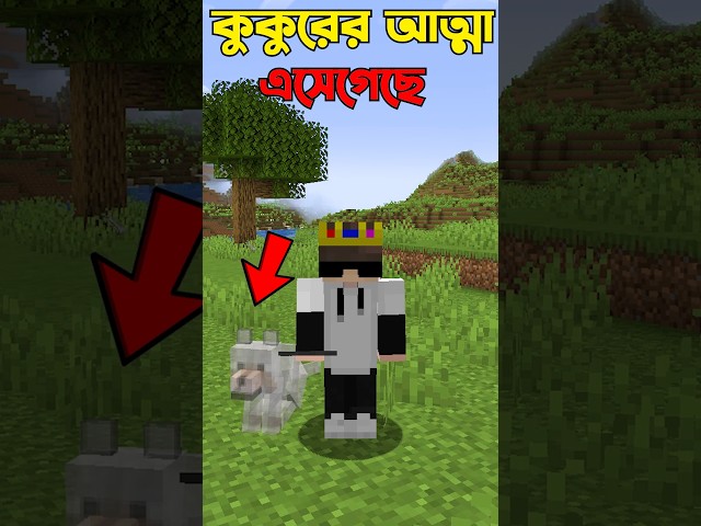 Your Dog Never Leaves You In Minecraft #minecraft