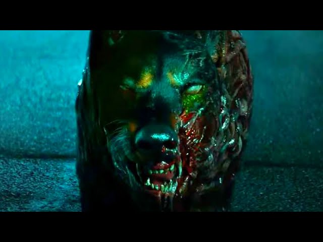 Easter Eggs You Missed In Resident Evil: Welcome To Raccoon City