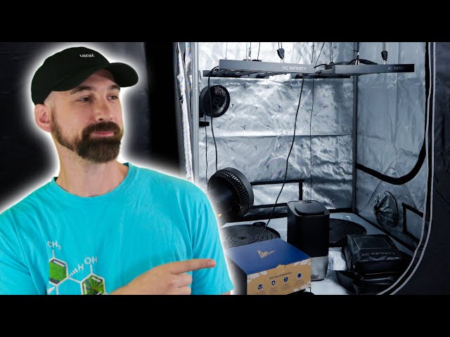My AC Infinity Grow Tent Setup for 2026 (What I’m Running Now)