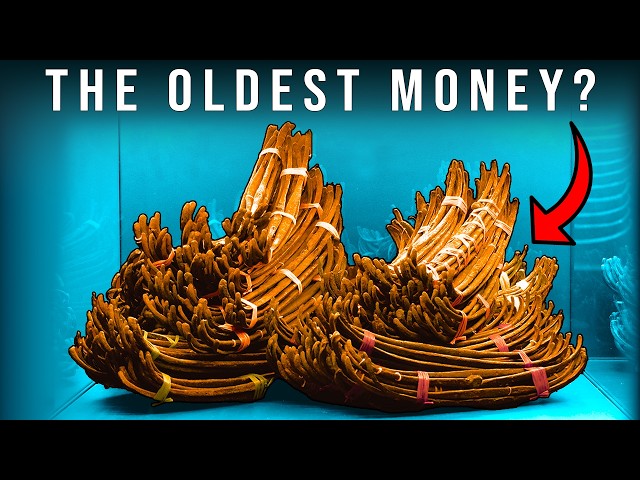 The Incredible Copper Money of Bronze Age Europe