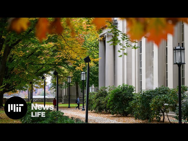 This is MIT