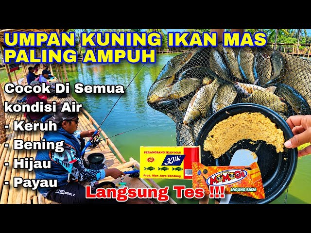 UMPAN SIAP PERANG ....‼️ Umpan Ikan Mas Cocok Di Semua Daerah ( Anda Harus Mencoba Nya )