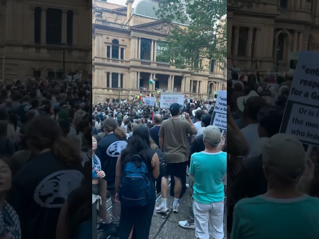 What really happened at the protest in Sydney town hall…