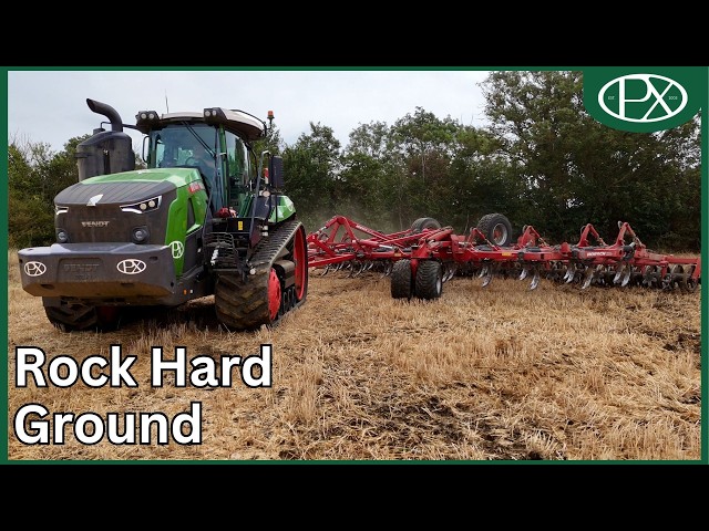 Cultivating New Farms in the Hardest Conditions of Our Lives