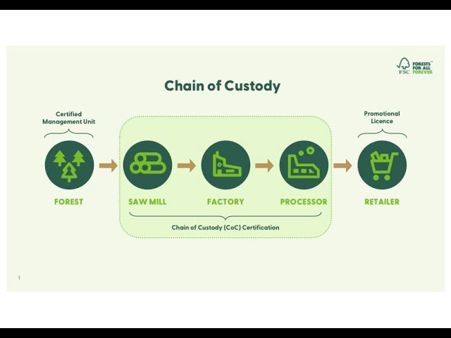 Chain of Custody in the FSC Value Chain