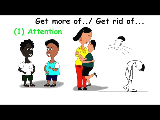 Functions of Behaviour