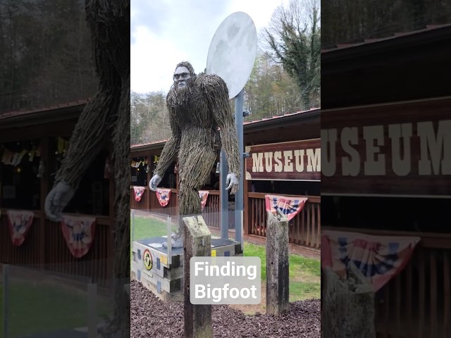 Expedition Bigfoot! The Sasquatch Museum | Did we find Bigfoot?! #bigfoot #shorts