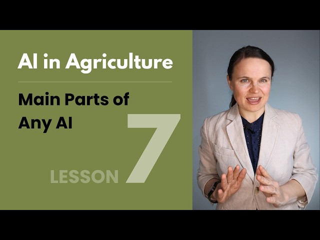 Main Parts of Any AI