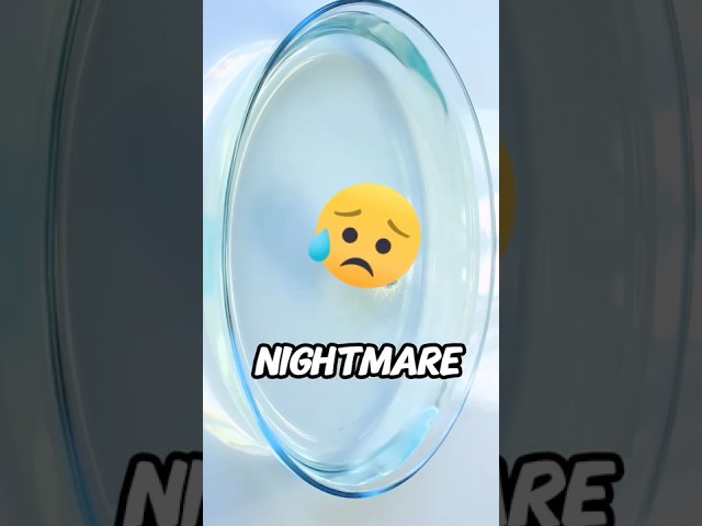 99 Nights in the Forest 🌲 Becomes A NIGHTMARE 😳 #99nightsintheforest #99nights #roblox