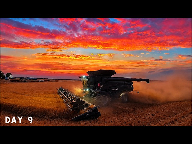 You Won’t Believe How This Harvest Day Ended...