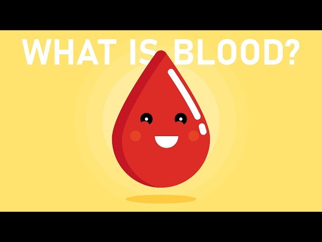 What is Blood?