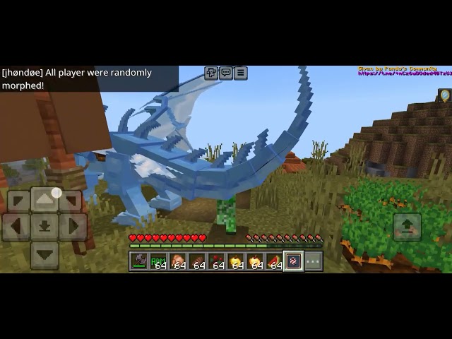 Playing minecraft