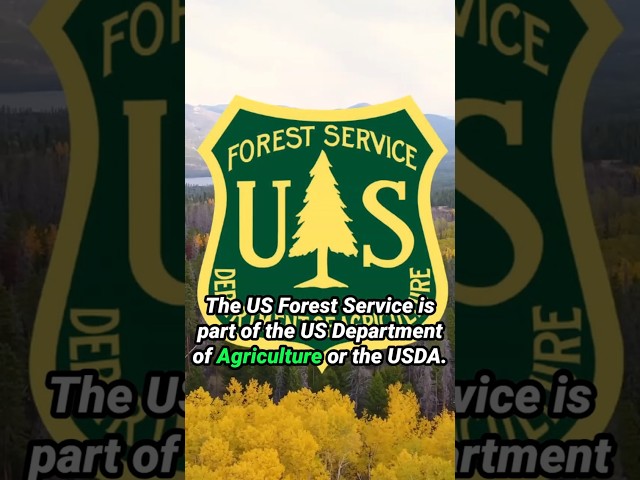 This Could Get BAD!! #forestservice #politics #economics