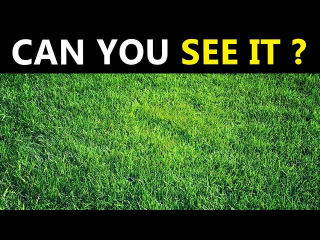 How Good are your EYES? A Quick EYE TEST