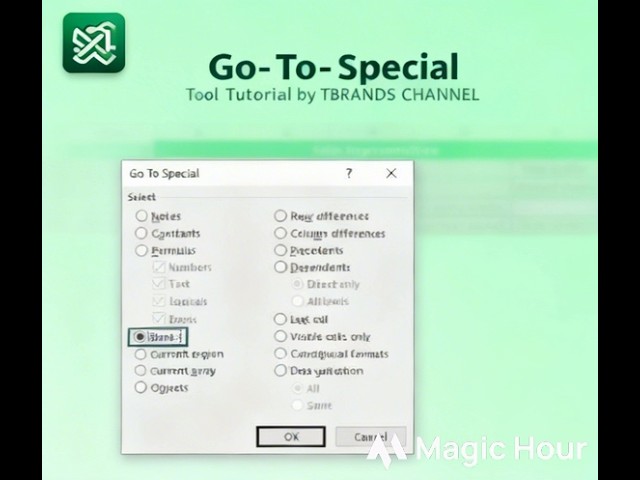 Master Excel's Go To Special — Blanks, Errors, Formulas & More | Real Life Office Use Cases