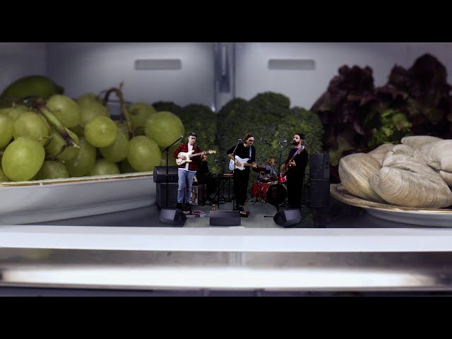 Real Estate - Gone (Live Refrigerator Version)