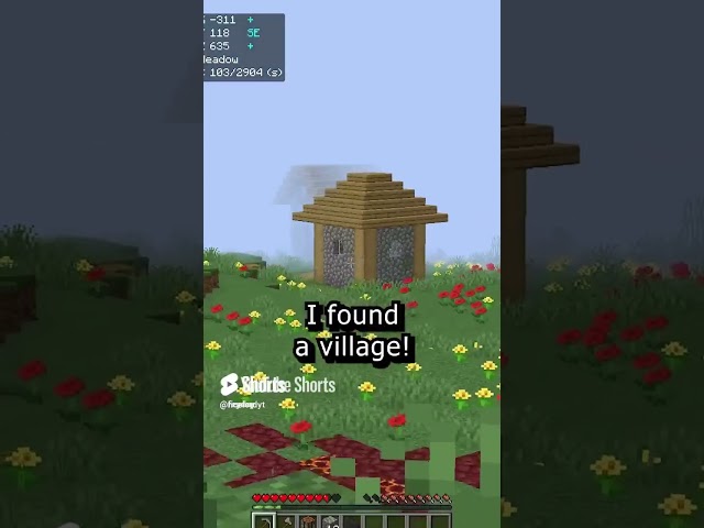 Minecraft but if you subscribe, you die!