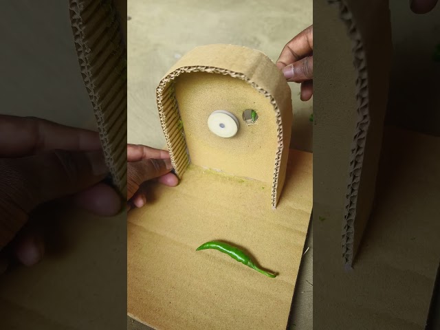 chilli cutter machine diy project #dcmotor #project #youtubeshorts #motor #shorts