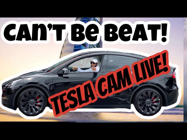 Tesla cam POV LIVE!