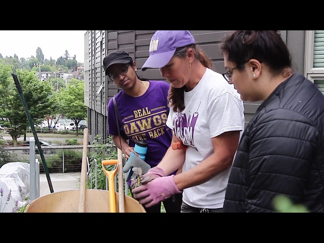 UW Farm: Sustainable Farming
