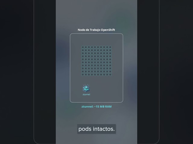 Cómo ztunnel en Istio Ambient Elimina el Impuesto del Sidecar en OpenShift 4.20