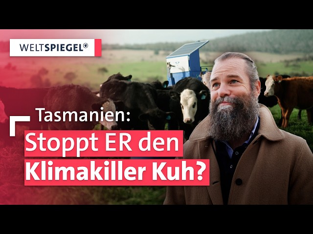 Australiens Super-Alge: Kann sie die Rinderzucht klimafreundlicher machen? | Weltspiegel
