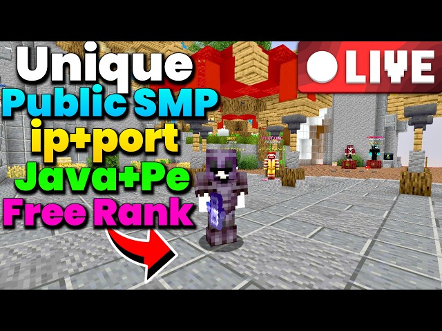 Exploring a New Public Minecraft Server with Subscribers