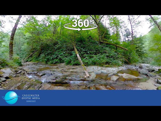 VR/360: Dougan Creek