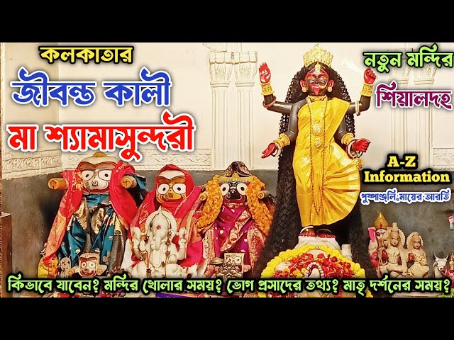 Shyam Sundari Kali Mandir Sealdah ।শ্যামসুন্দরী মায়ের মন্দির । New Maa Shyamsundari Temple ।