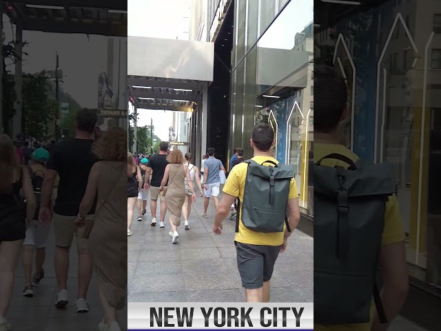 What happens on 5th Avenue #nyc #manhattan