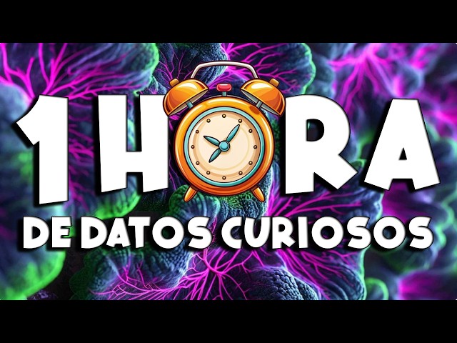 1 HOUR non-stop of FUN FACTS and THINGS YOU DIDN'T KNOW! ⏰😲1286