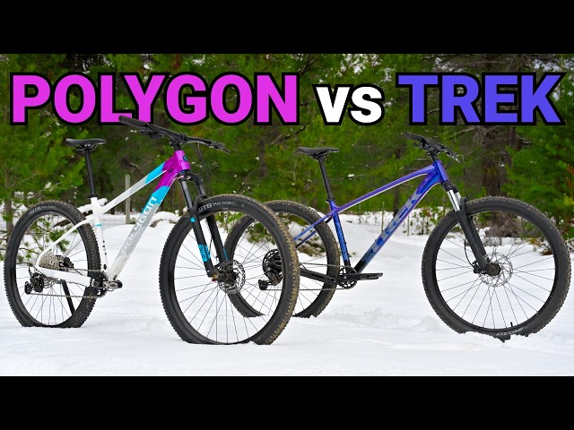 Polygon Xtrada vs Trek Marlin | Which Is The Best Affordable MTB?