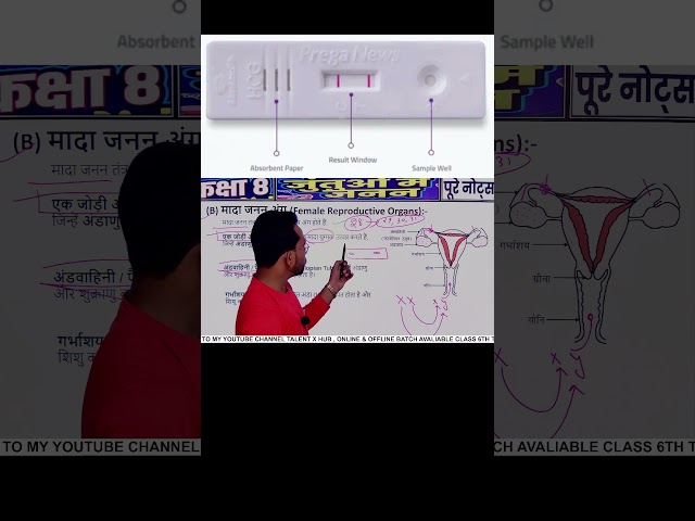 Prega News Test Kab Kare#preganews #pregnancytest #talentxhub #education #health