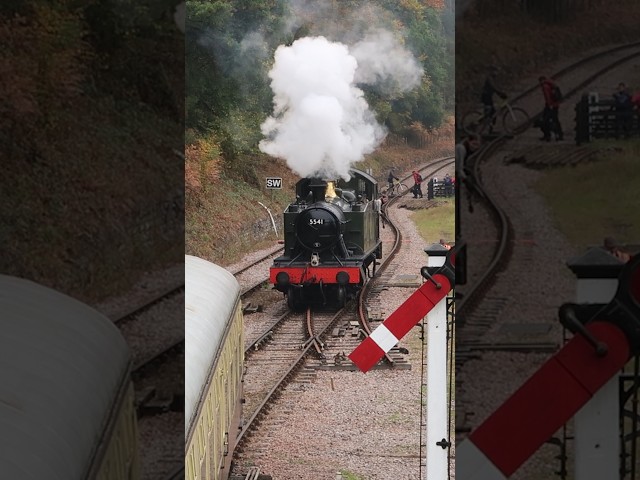 Steam Loco Runs Around at the Dean Forest Railway #train #railway #steam