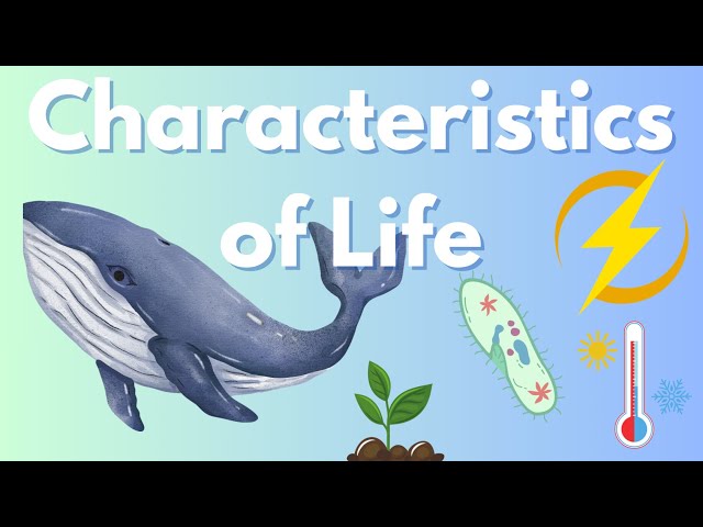 Understanding the Characteristics of Life: What Makes Something Alive?"