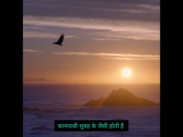 #Motivational quotes#shortsvideo #shortsfeed#motivationalspeech  #motivationalquotes#ytshorts