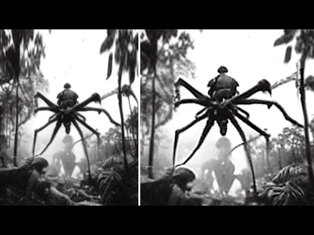 5 Unsolved Mysteries Of The Congo Jungle That Cannot Be Explained