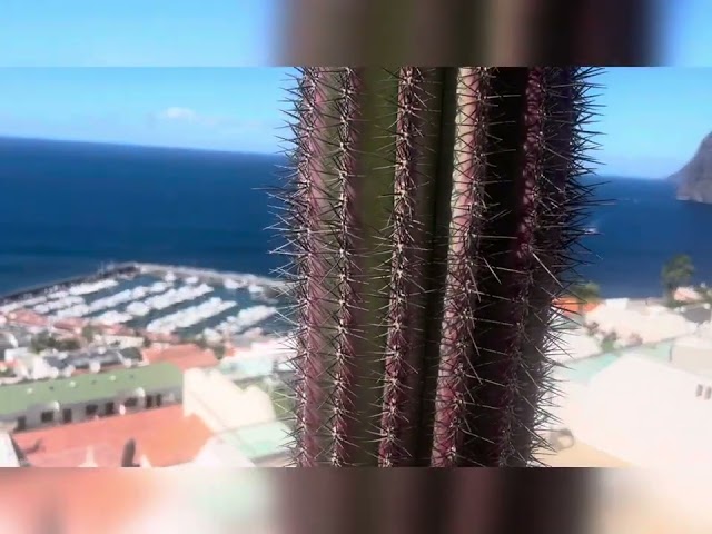The Royal Sun Resort, Los Gigantes, November 2024