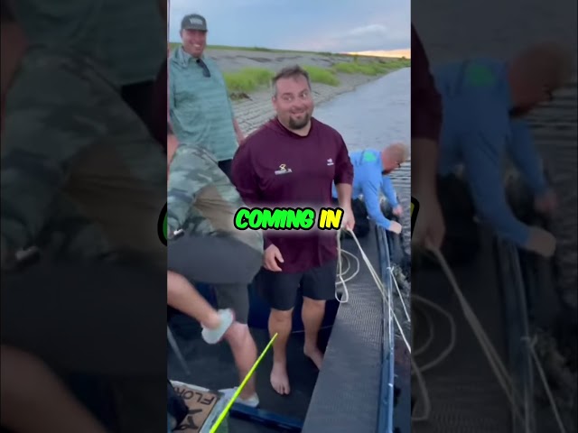 GIANT ALLIGATOR CAPTURED! 10/15#viral #short #youtubeshorts #shorts #viralvideo #youtube #shortvideo