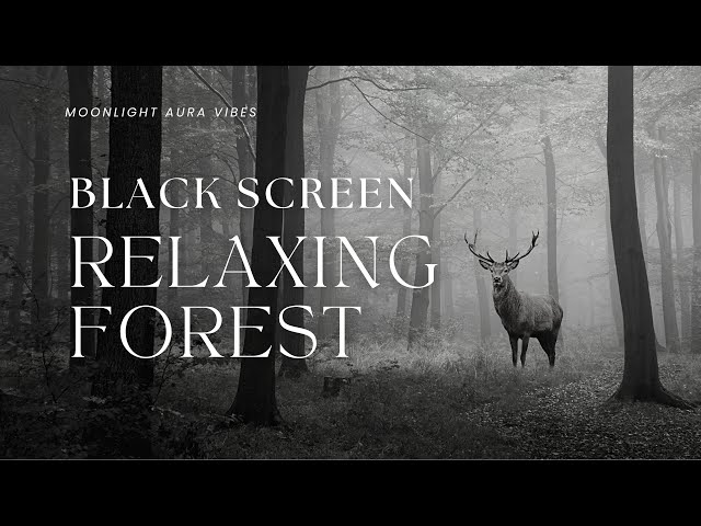 RELAXING FOREST  l  Black Screen  l  10 Hours of Relaxing Nature Sounds for Sleep