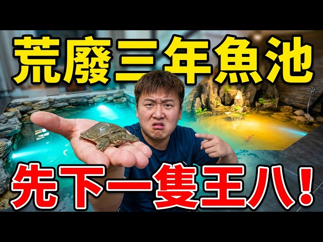 荒廢3年的室內魚池重啟?開缸闖水先放小王八,大家建議養點啥?【王小怪】