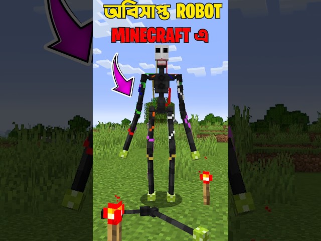 Do Not Build This Robot In Minecraft #minecraft
