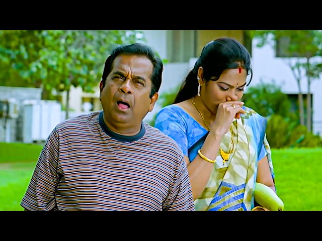 Non Stop Laughs With Brahmi & Hema 😂Super Hit Telugu Comedy Scenes