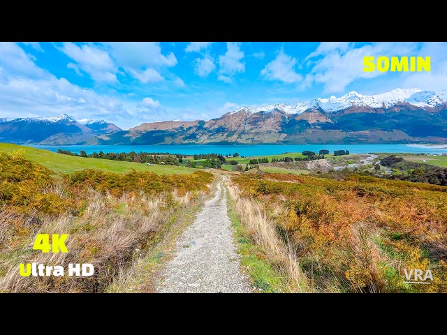 Virtual Run 4k - 50 Minute Treadmill Workout Scenery Judah Track Downhill - New Zealand