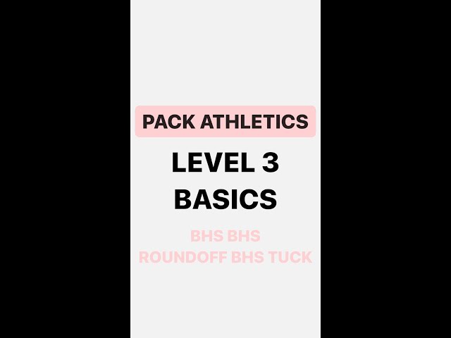 Level 3 Basic Skills