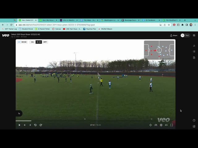 Veo Website Introduction for Families