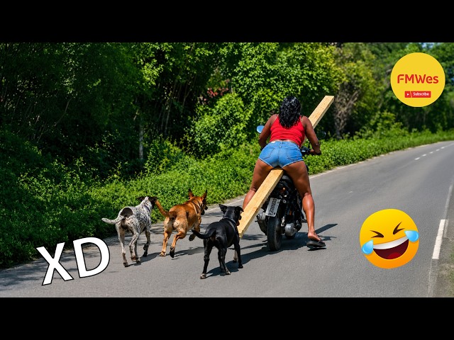 Funny Videos 🤣 If You Laugh You Lose GOD LEVEL #753 😎Mexican Viral Humor🤣