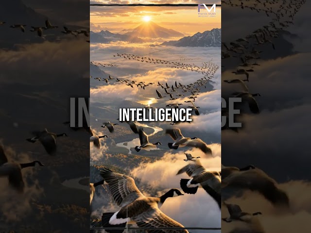 Before There Was AI, There Was Divine Intelligence,