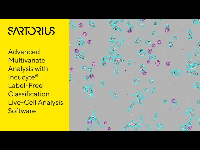 Incucyte® Webinar (Preview): Advanced Label-Free Classification of Cell Morphology